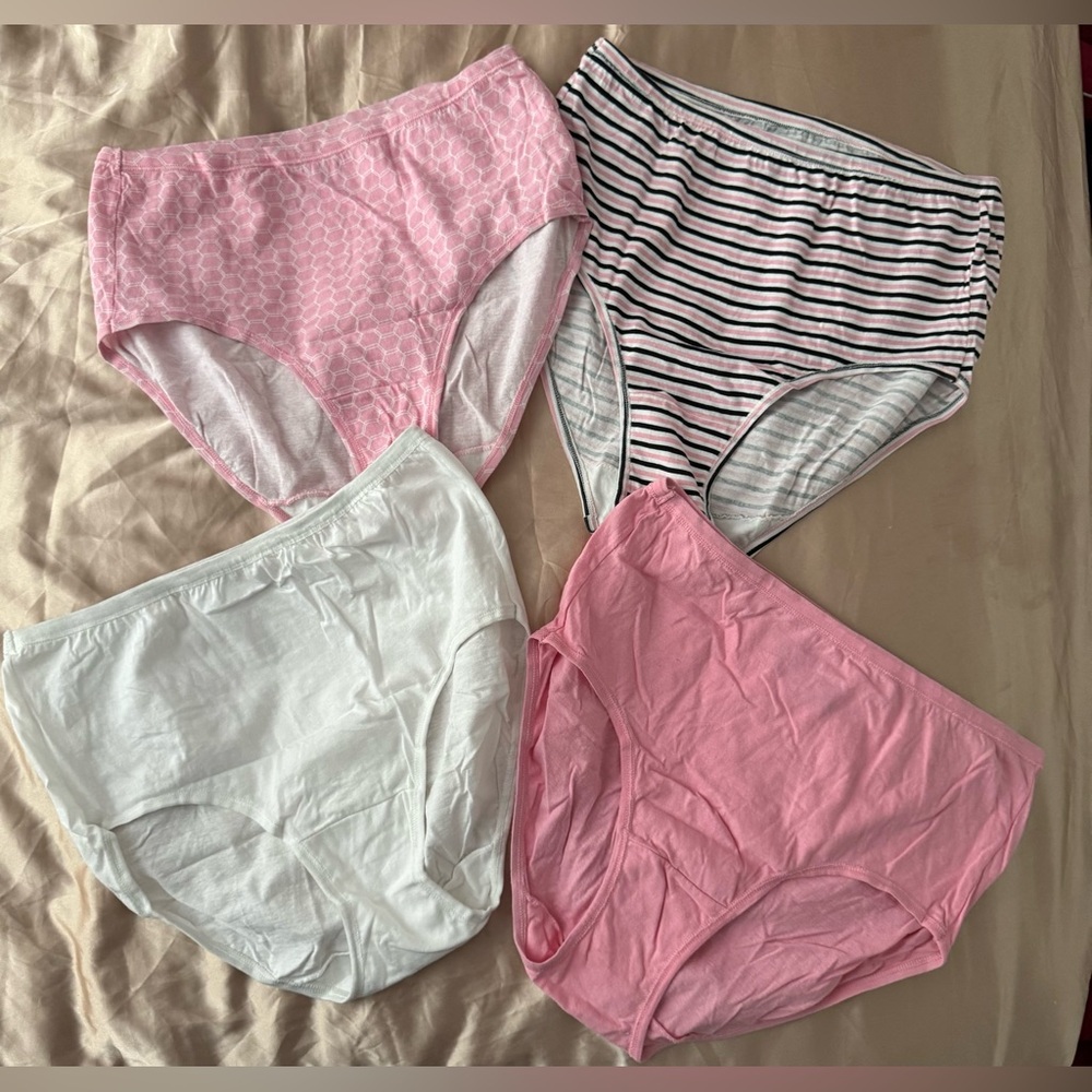 Fruit of the Loom Woman's Brief Panties Bundle Size 6 Medium
